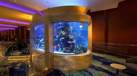 alluc tanked|Tanked: All in the Ocean .